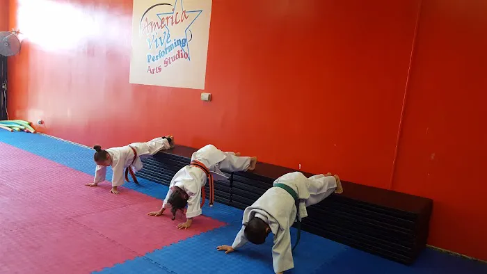 America Vive Dance/Zumba Fitness/Martial ARTS Studio Picture 7