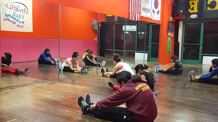 America Vive Dance/Zumba Fitness/Martial ARTS Studio Picture 5