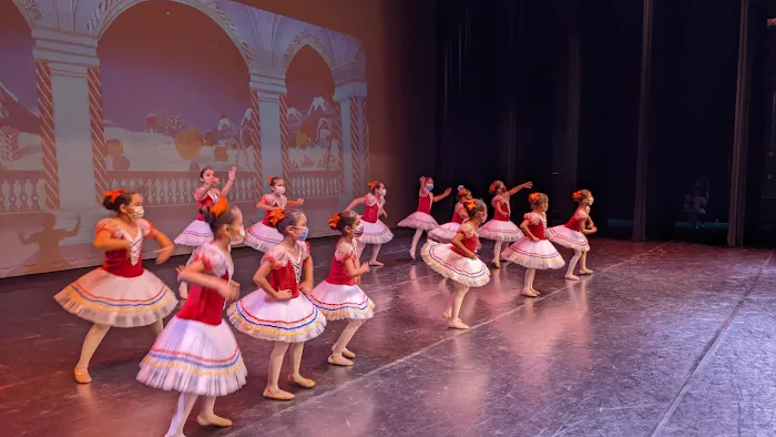 Art Dance Academy Picture 5
