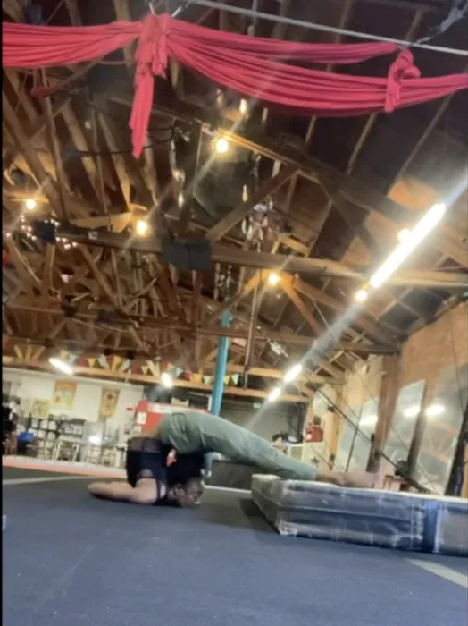 Cirque School Picture 9