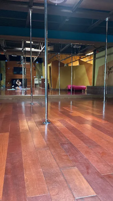 Evolve Sanctuary Pole and Infrared Sauna Studio Picture 3