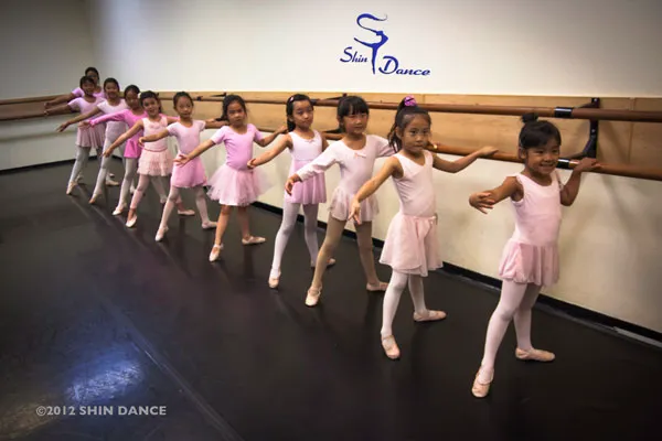 Shin Dance Academy Picture 1