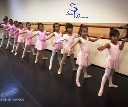 Shin Dance Academy