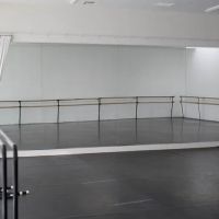 ALIGN BALLET METHOD LOS ANGELES - BEVERLY HILLS ico