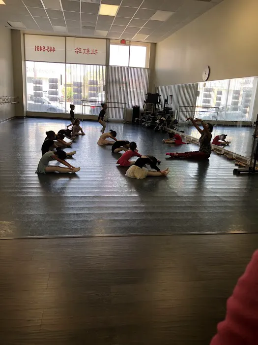 Point Ballet Llc Picture 2