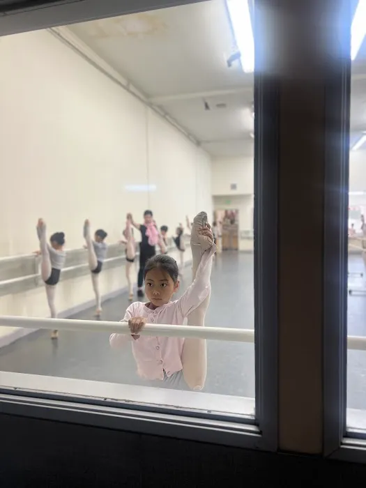 Li's Ballet Studio Picture 7