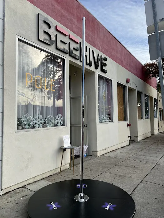 Beehive Pole Studio Picture 6