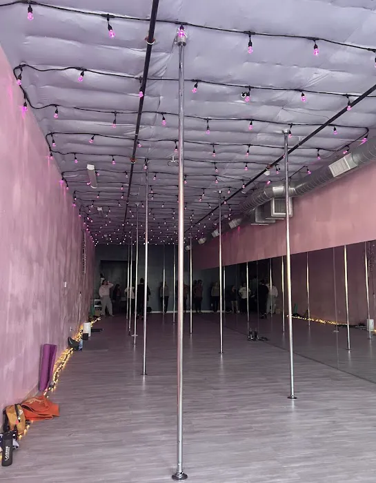 Beehive Pole Studio Picture 7