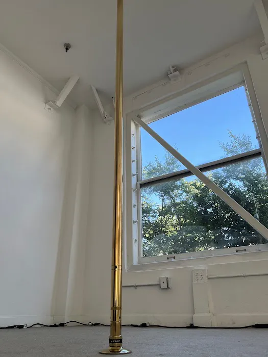 Beehive Pole Studio Picture 8