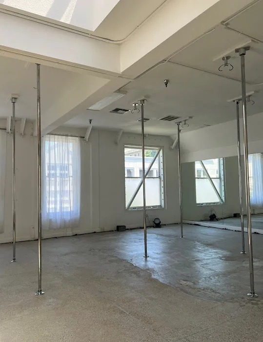 Beehive Pole Studio Picture 2