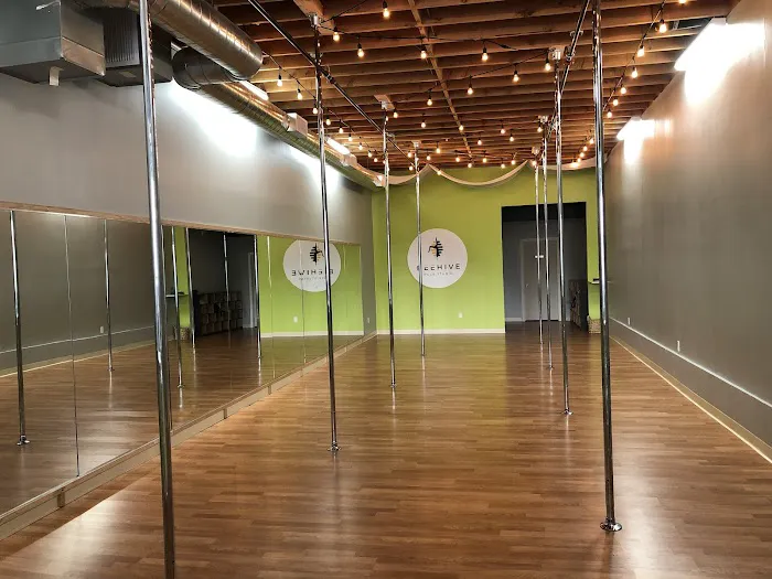 Beehive Pole Studio Picture 5