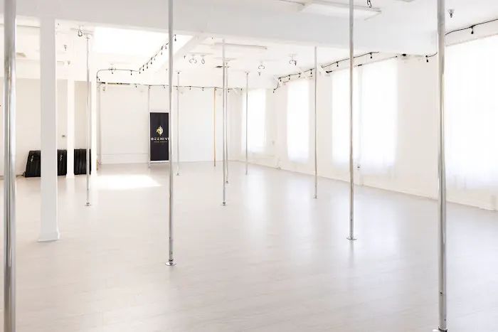 Beehive Pole Studio Picture 9