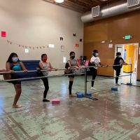Ballet at the Park ico