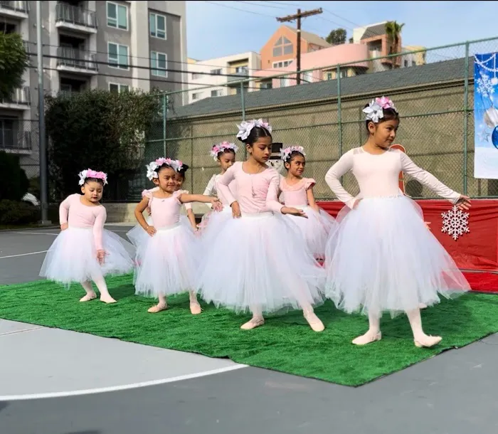 Ballet at the Park Picture 8