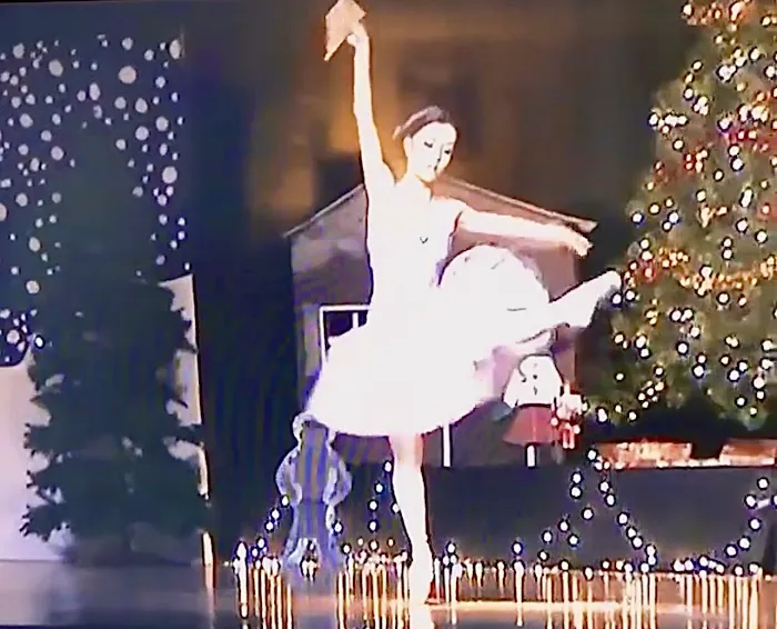 Ballet at the Park Picture 5