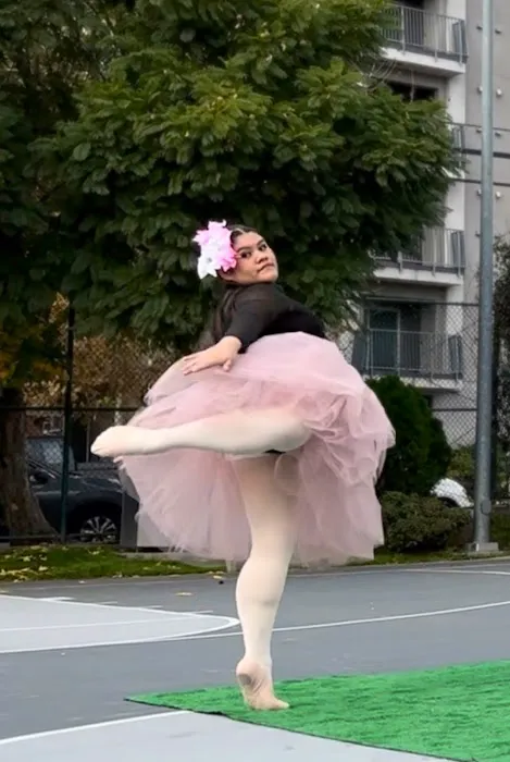 Ballet at the Park Picture 6