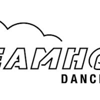 Dream House Dance Factory ico