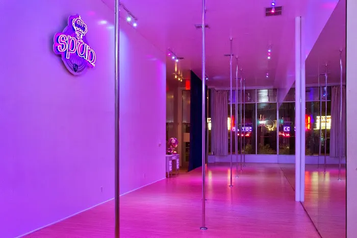 BeSpun Pole Dance Workout | Hollywood Picture 10