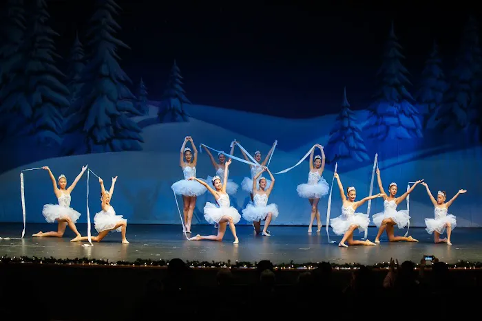 Artistico School of Dance Picture 9