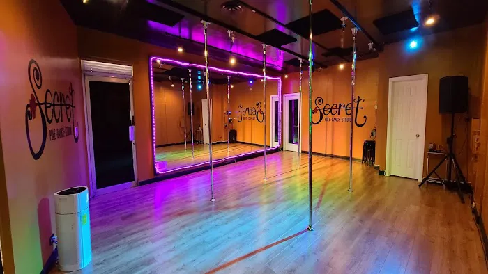 Secret Pole Dance Studio Picture 1