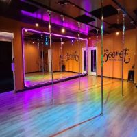 Secret Pole Dance Studio ico