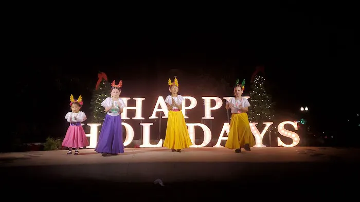 Almitas Dance Academy Picture 8
