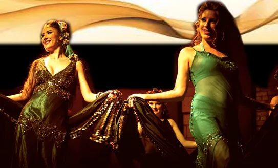 L.A. Bellydance Academy Picture 4