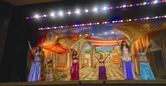 L.A. Bellydance Academy Picture 2
