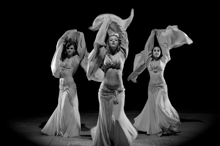 L.A. Bellydance Academy Picture 10