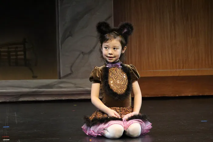 ABC's of Dance Picture 7