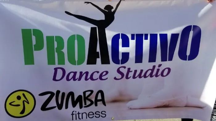 Proactivo Dance Studio Picture 8