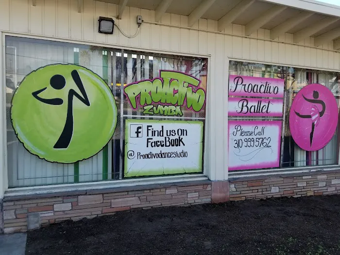 Proactivo Dance Studio Picture 5