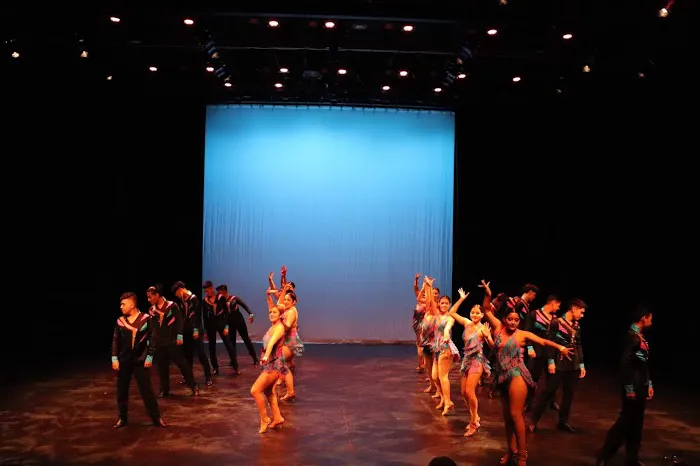 The New Mambo Dance Academy Picture 7