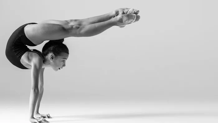 Danceology LA Picture 5