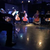 Mimoda Studio ico