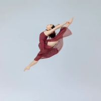 We Dance Studio ico