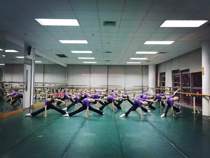 Dancing Wings Studio Picture 2