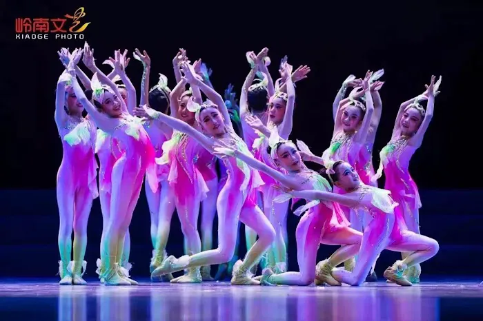 Dancing Wings Studio Picture 3