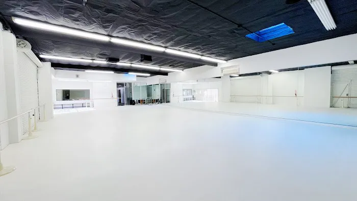 Dancing Wings Studio Picture 1