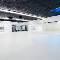 Dancing Wings Studio ico