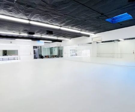 Dancing Wings Studio