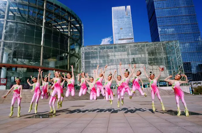 Dancing Wings Studio Picture 4