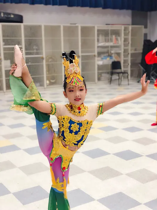 HongYun Dance Studio Picture 2