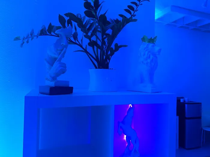 ViBE - dance studio & creative space. Picture 3