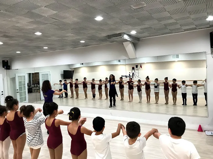 Adana Dance Studio Picture 2