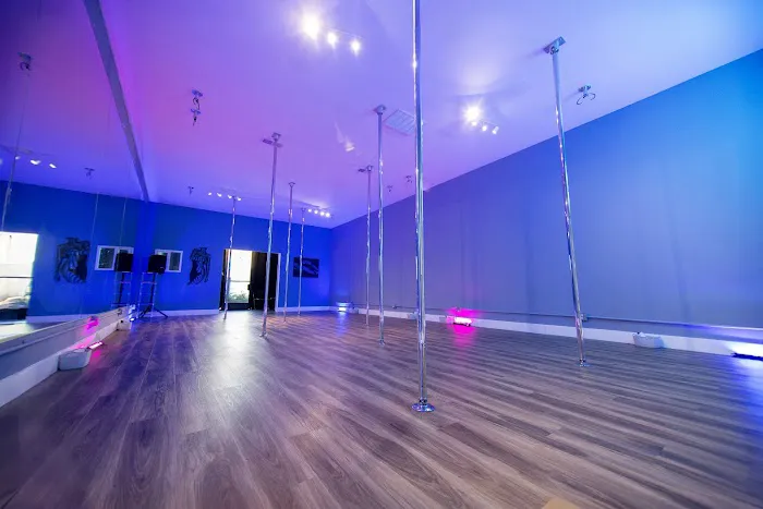 Sultry Dreams Pole & Dance Studio Picture 8