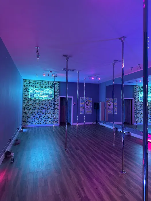 Sultry Dreams Pole & Dance Studio Picture 5