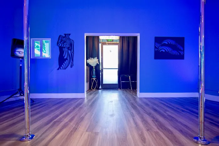 Sultry Dreams Pole & Dance Studio Picture 9