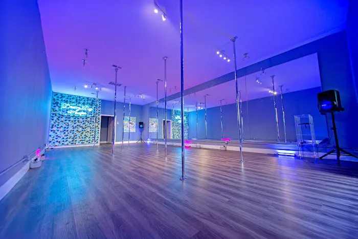 Sultry Dreams Pole & Dance Studio Picture 4