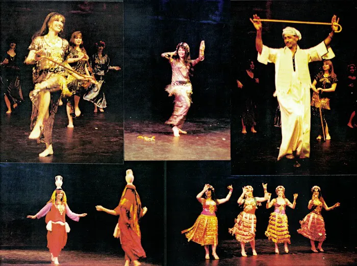 Aisha Ali Belly Dancing Picture 7